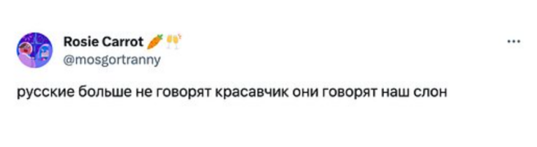 Наш слон