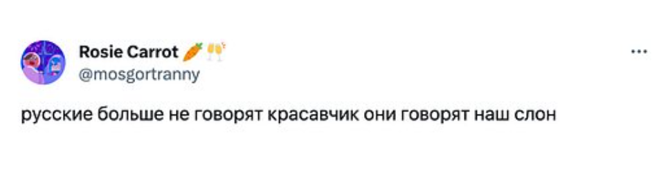 Наш слон