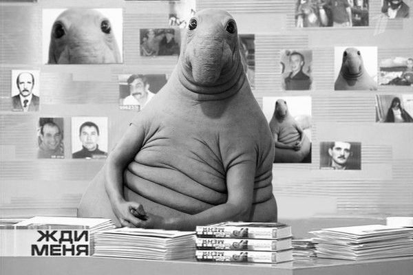 фильм ждун в кино фильм ждун в кино