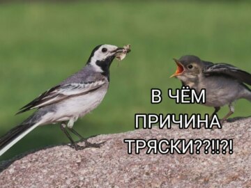 Причина тряски