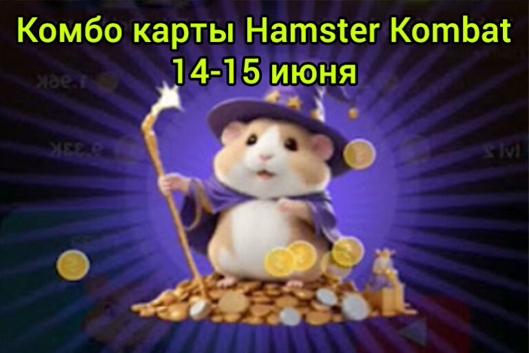 Комбо карты в Хамстер Комбат 14-15 июня