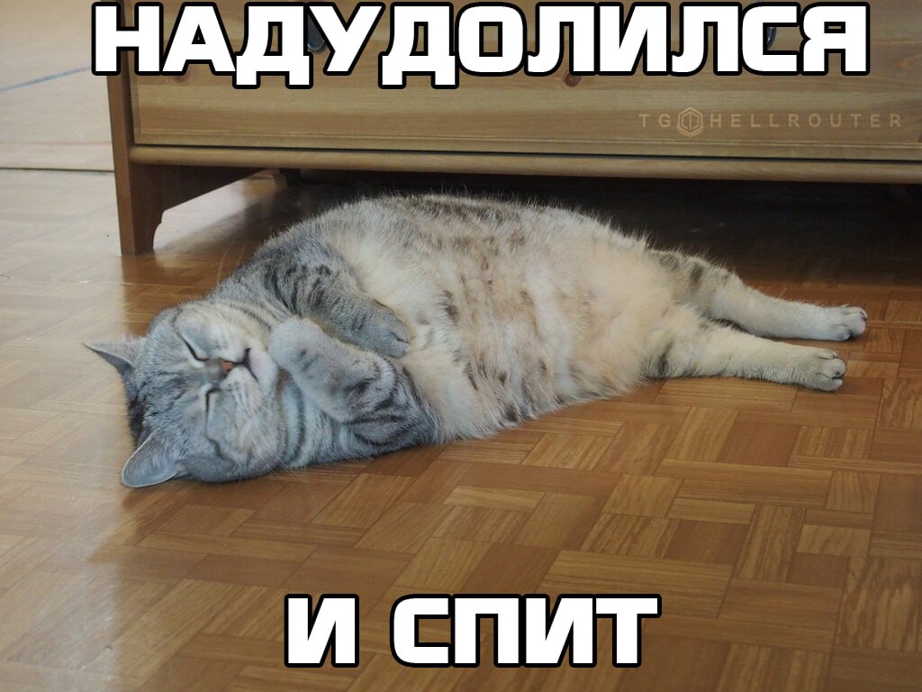 Дудолить (дудолинг)