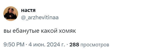 hamster kombat мемы 