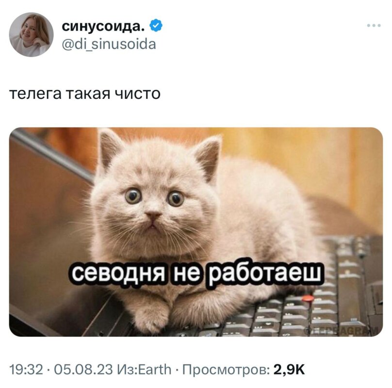 сбой телеграма мемы сбой телеграма мемы