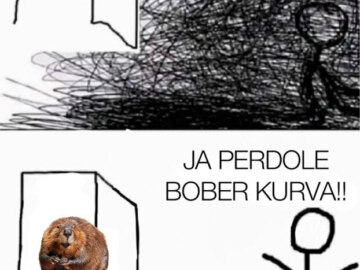 Бобр курва