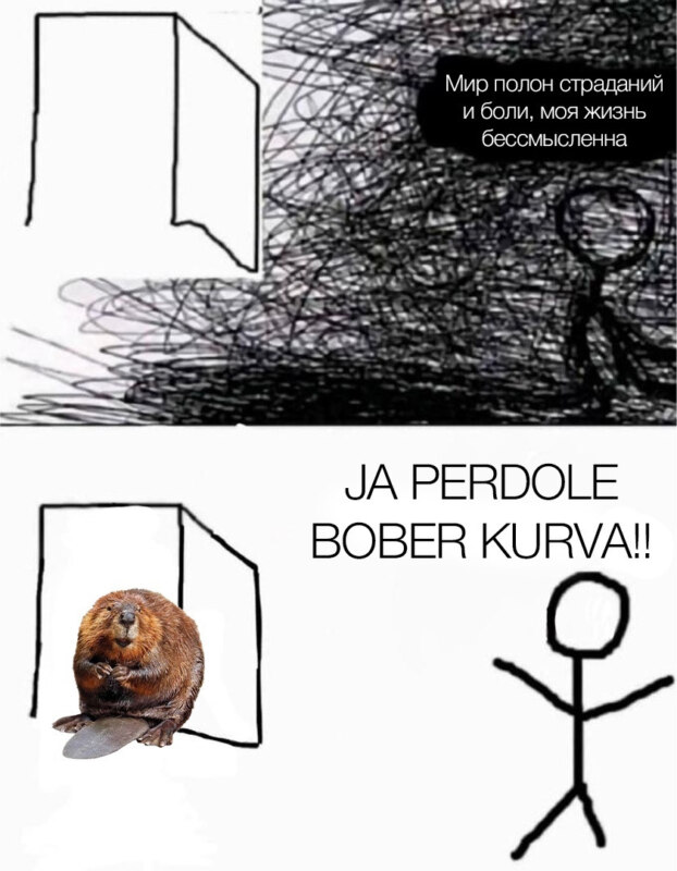 Бобр курва