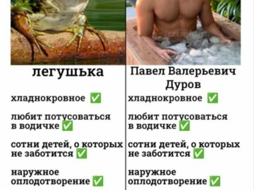 Дело против Дурова
