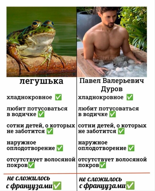 Дурова задержали Дурова задержали