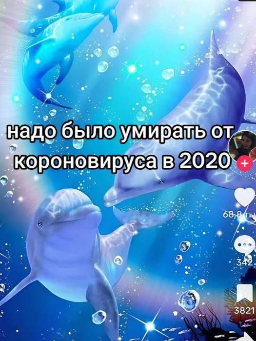 мемы сентября 2024 мемы сентября 2024