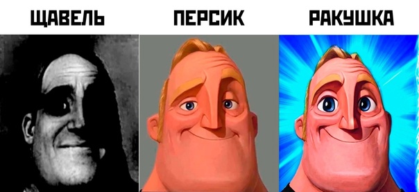щавель персик ракушка палитра гитара