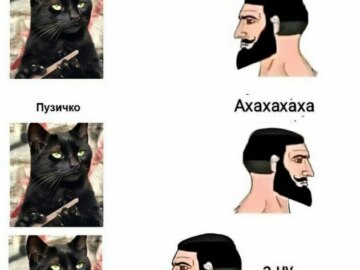 А ну покажи