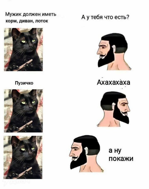 А ну покажи
