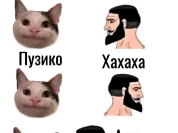 А ну покажи