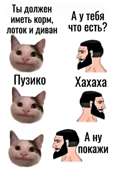 А ну покажи