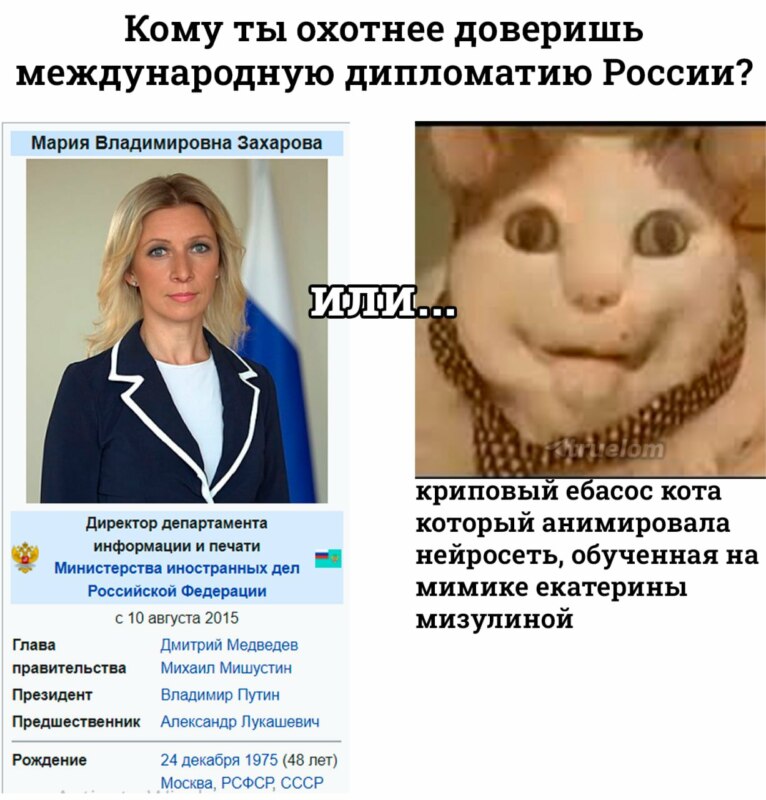 Бу испугался не бойся