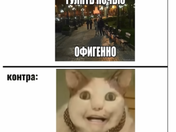 Бу испугался не бойся