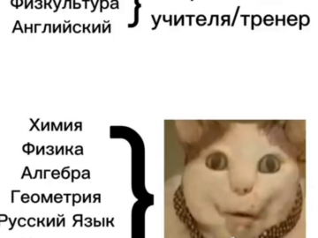 Бу испугался не бойся