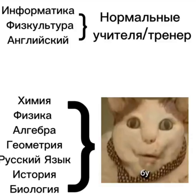 Бу испугался не бойся