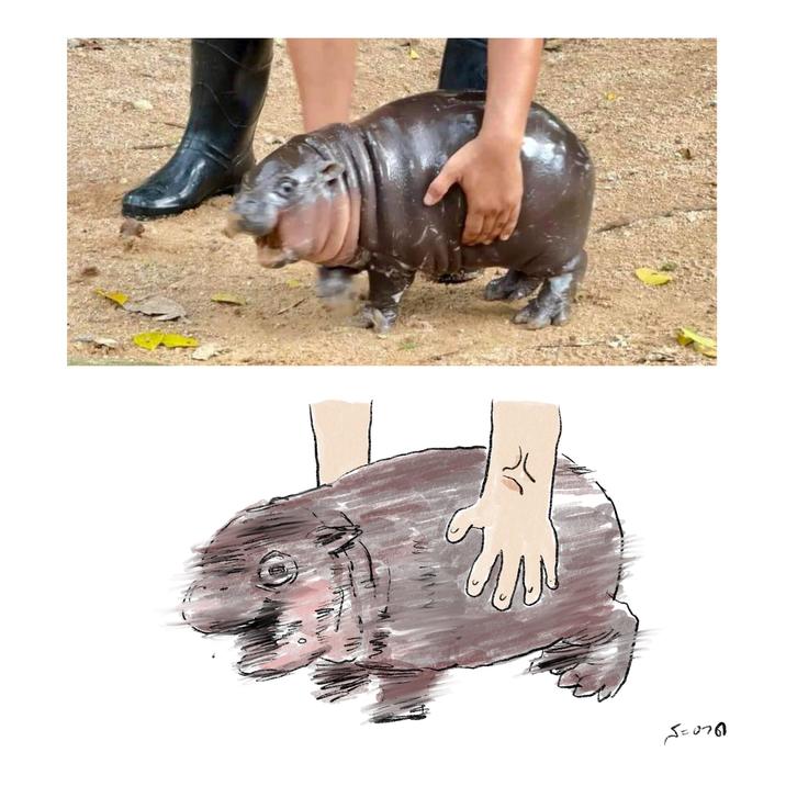 Бегемотик Му Денг