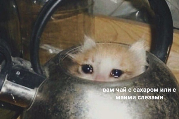 Вам чай с сахаром или с моими слезами