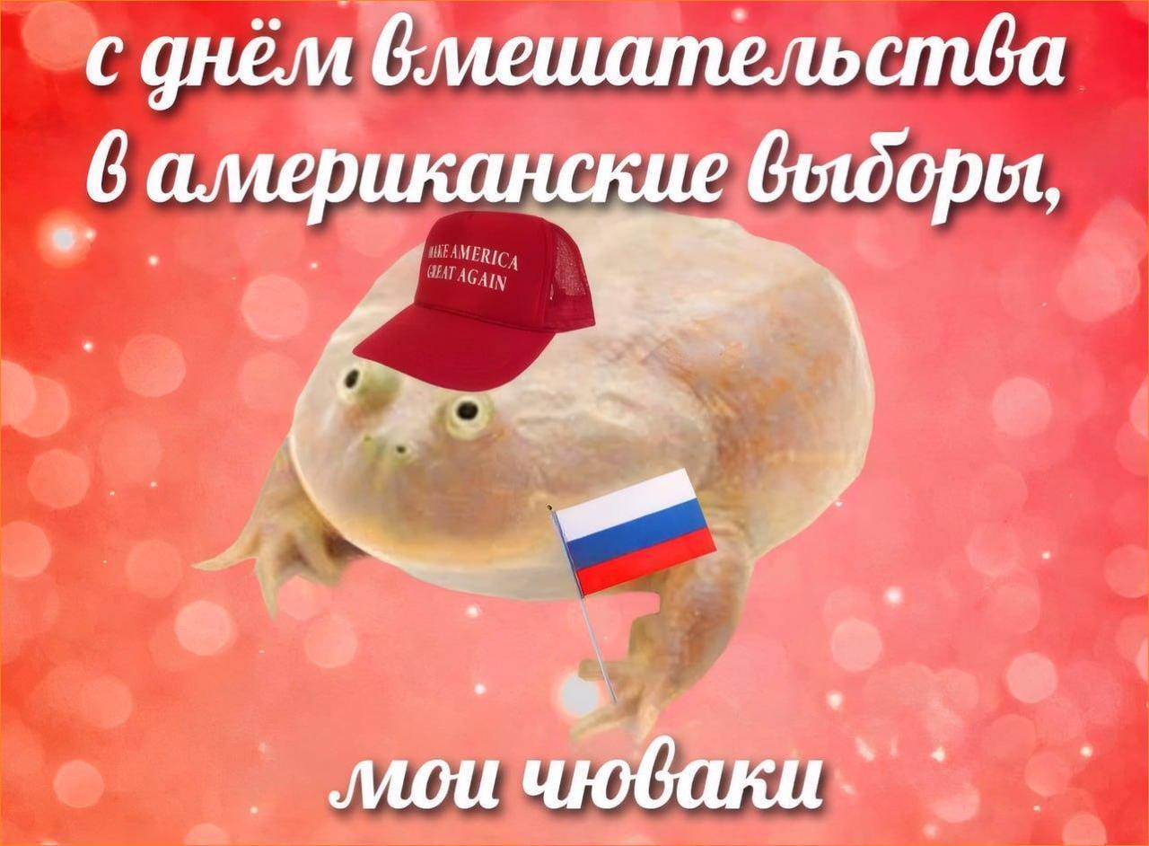 трамп победил на выборах мемы трамп победил на выборах мемы