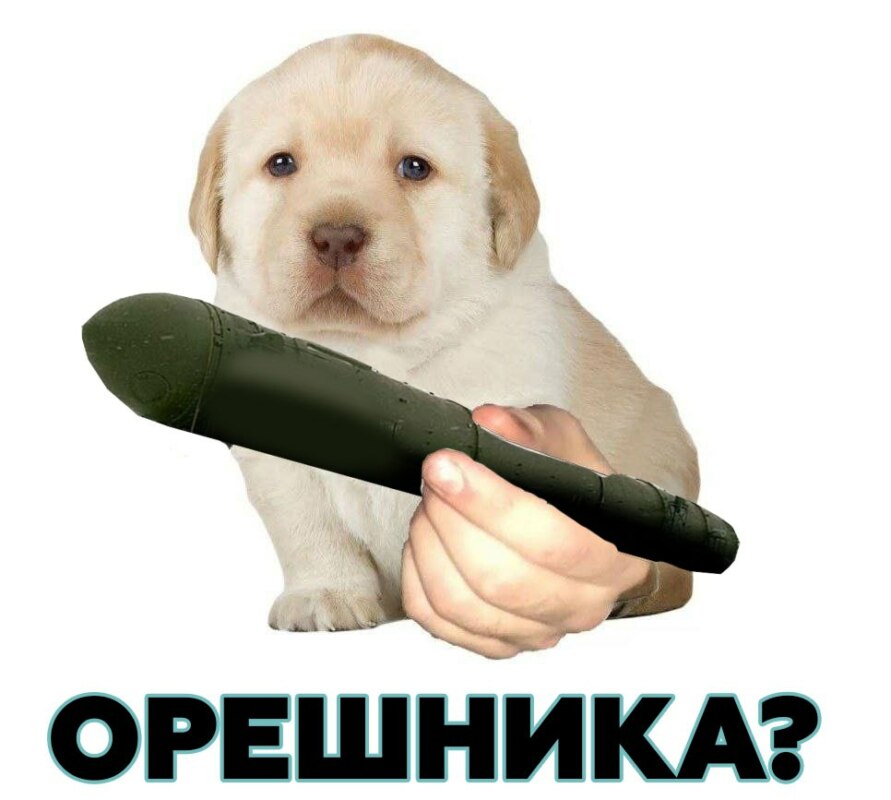 орешник мемы
