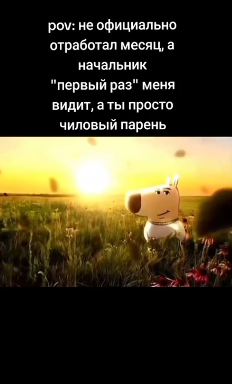 Просто чиловый парень