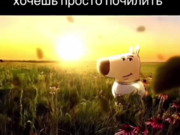 Просто чиловый парень