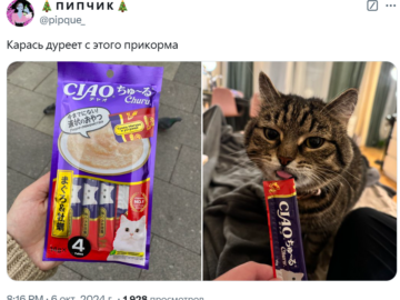 Карась дуреет
