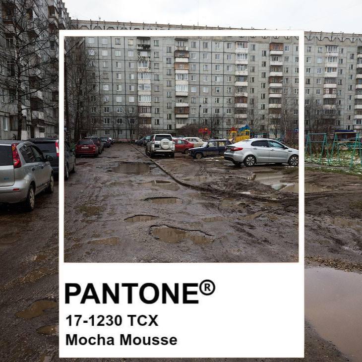 цвет года цвет года