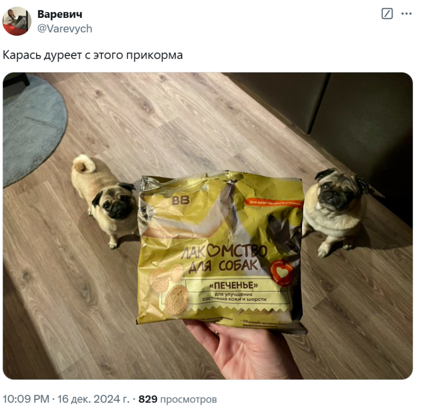 карась дуреет мем карась дуреет мем