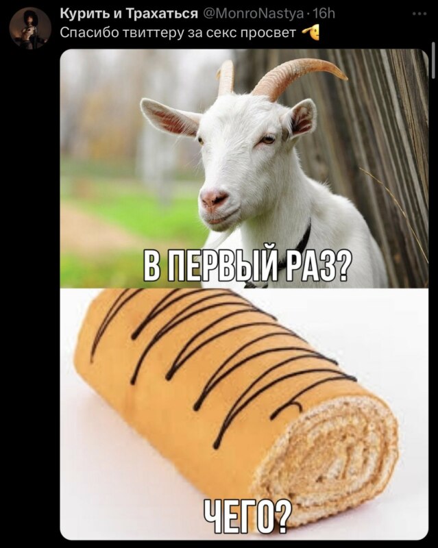 трахнул рулет трахнул рулет