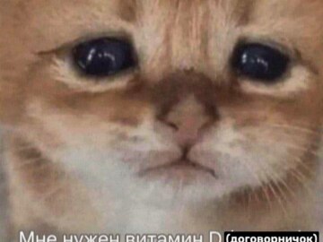Договорнячок