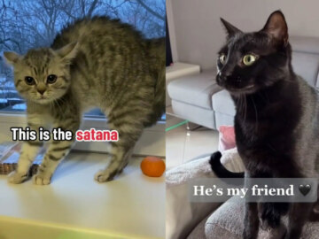 This is a Satana