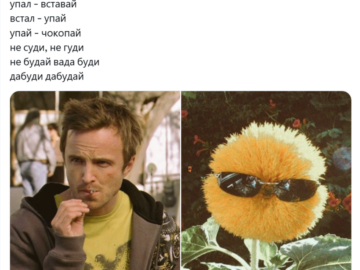 упал вставай встал упай