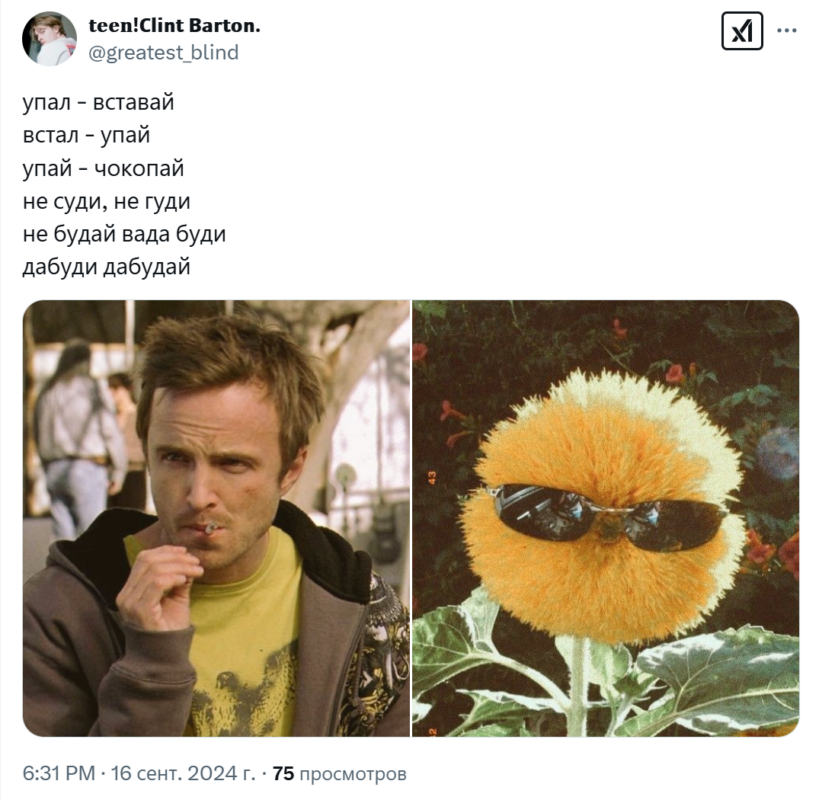 упал вставай встал упай