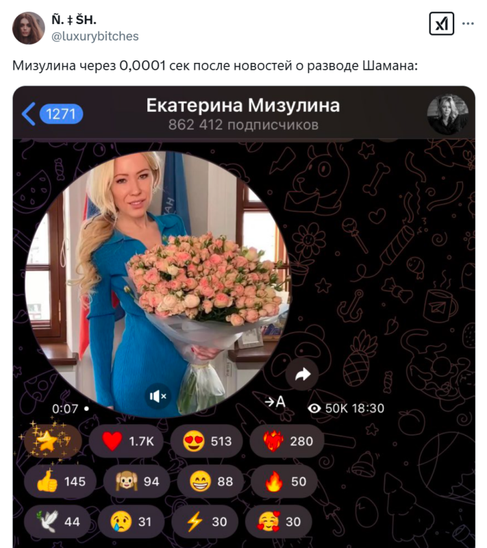 Шаман и Мизулина Шаман и Мизулина