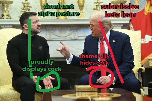 зеленский и трамп зеленский и трамп
