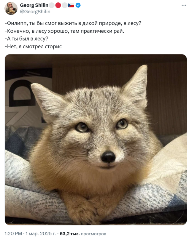 я смотрел сторис я смотрел сторис