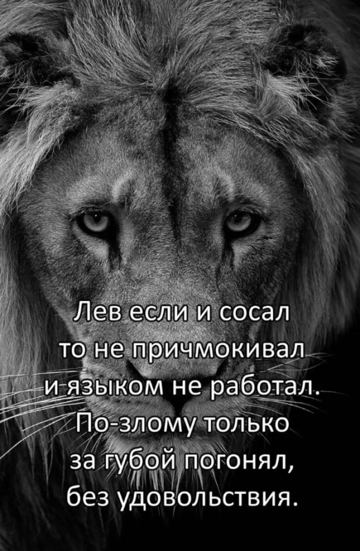 лев если и лев если и