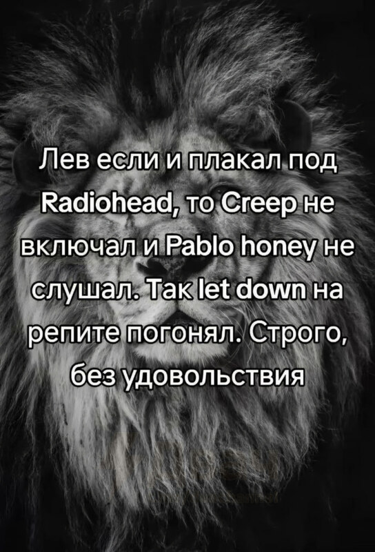 лев если и сосал