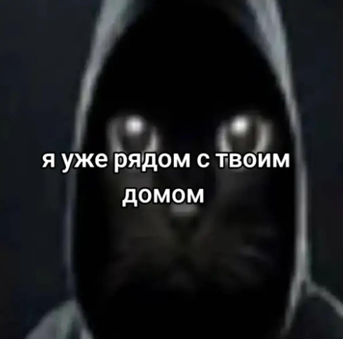 окак мем с котом
