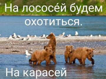 А я буду на жука охотиться на паука