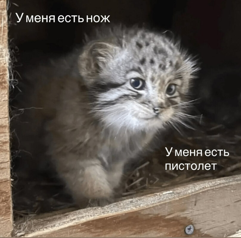 А я буду на жука охотиться на паука