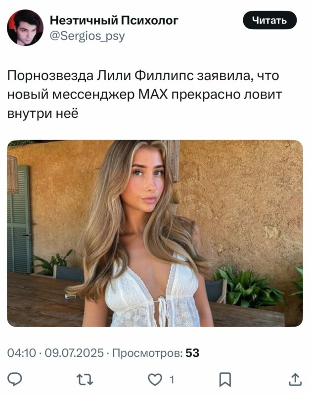 Мессенджер max мемы