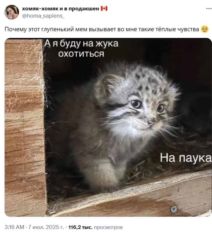 А я буду на жука охотиться на паука А я буду на жука охотиться на паука