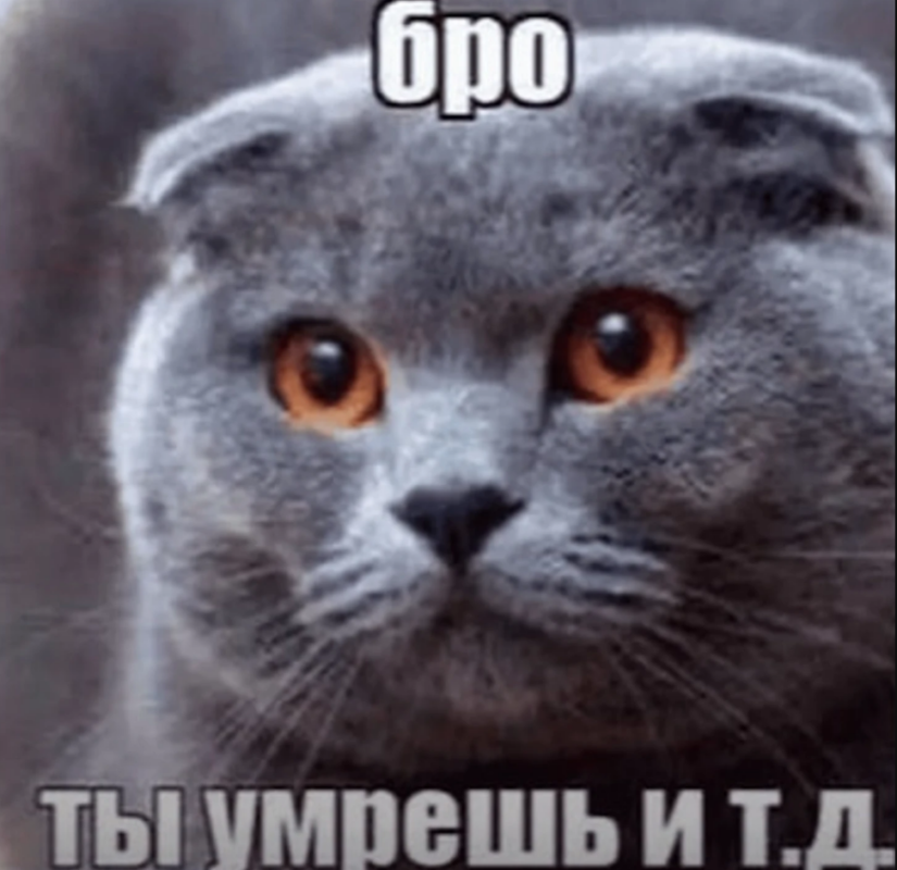бро ты умрешь и т.д. бро ты умрешь и т.д.