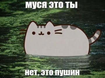 Муся это ты