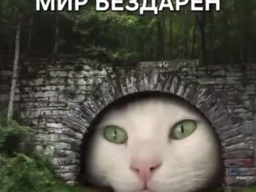Муся это ты