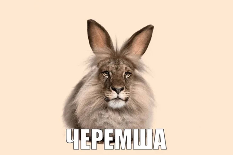 мемы апреля 2026
